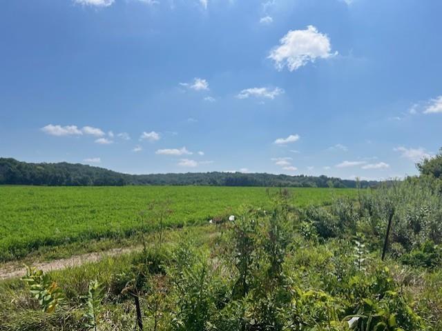 Land for sale in Cross Plains, Wisconsin
