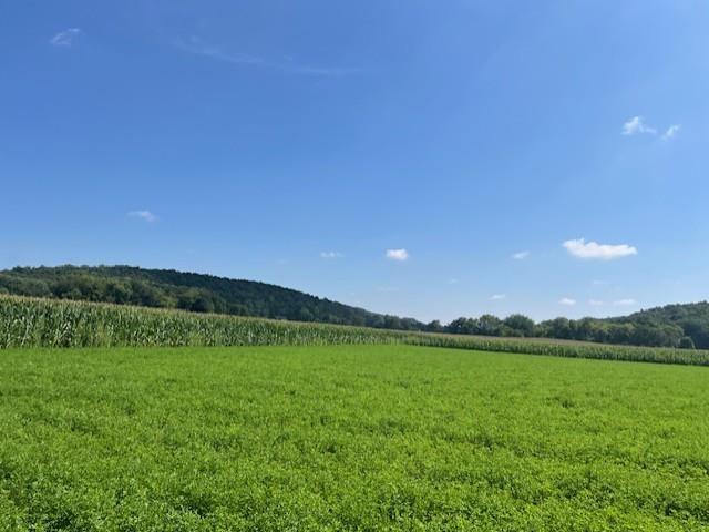 Land for sale in Cross Plains, Wisconsin