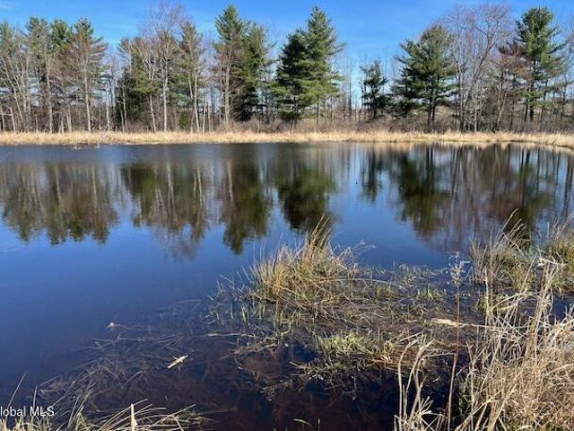 Land for sale in Carlisle, New York
