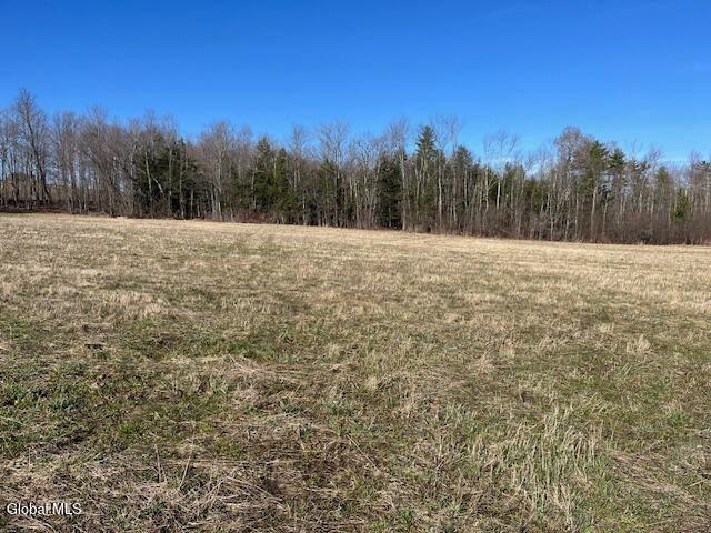 Land for sale in Carlisle, New York