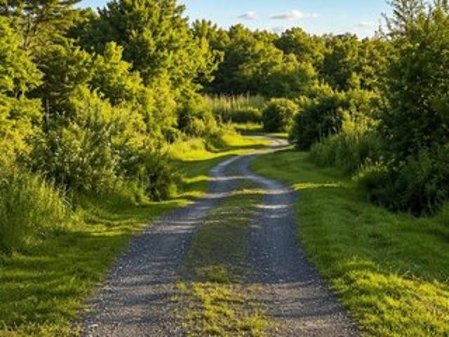 Land for sale in Alcove, New York