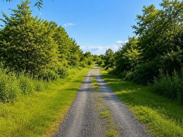 Land for sale in Alcove, New York