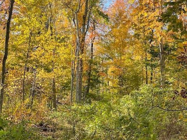 Land for sale in Hoosick, New York