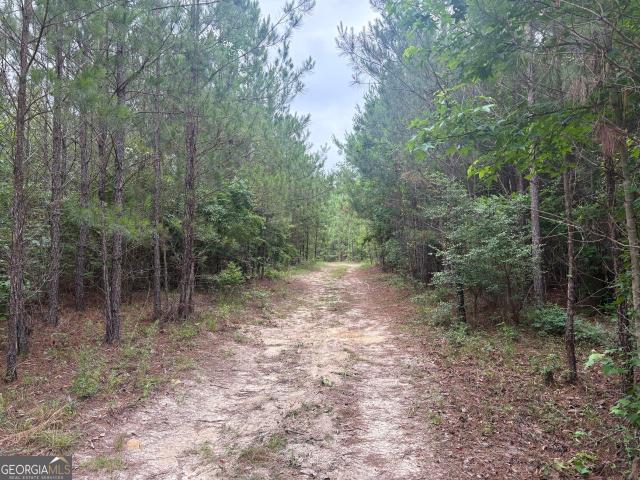 Land for sale in Griffin, Sandersville