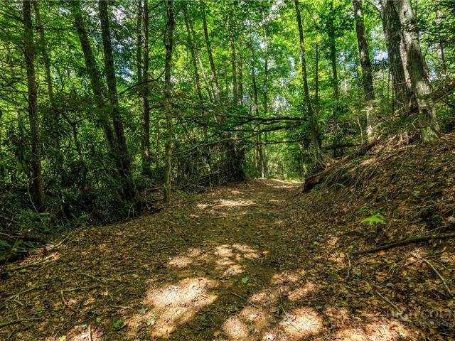 Land for sale in Avery, North Carolina