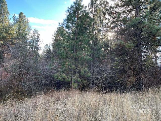 Land for sale in Cascade, Idaho