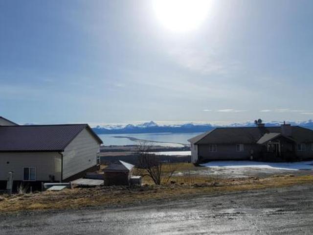 Land for sale in Homer
