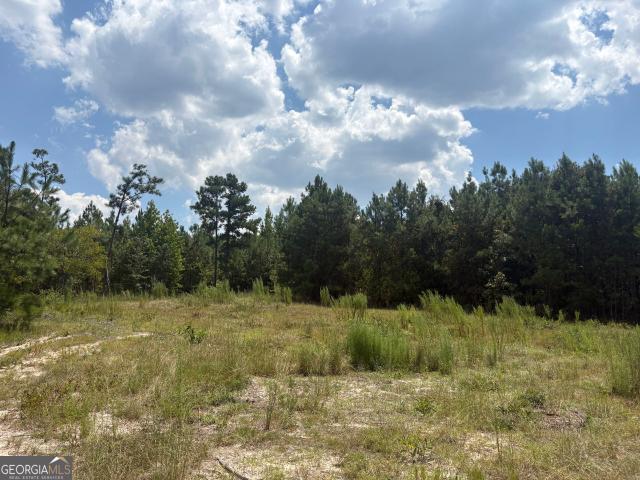 Land for sale in Griffin, Sandersville