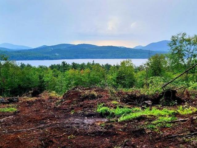 Land for sale in Essex, New York