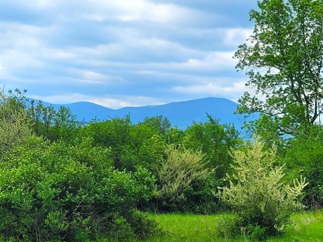 Land for sale in Cornwallville, New York
