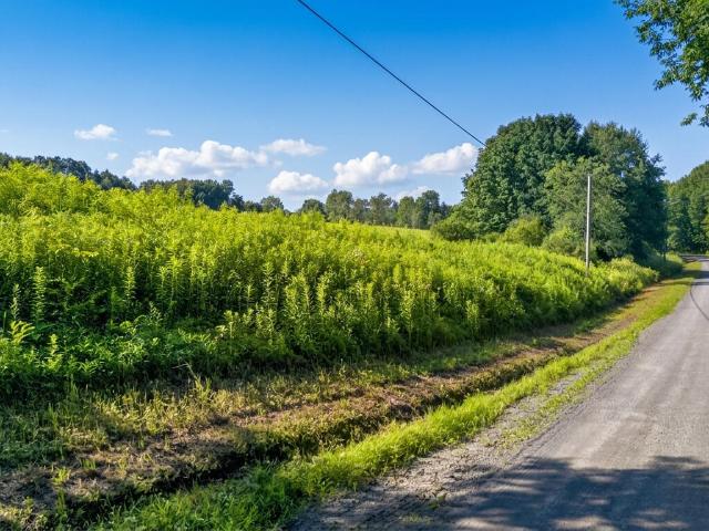Land for sale in Roseboom, New York