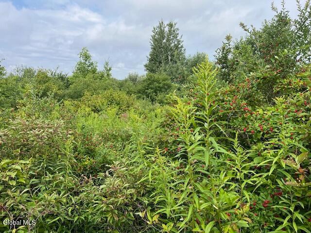 Land for sale in Duanesburg, New York