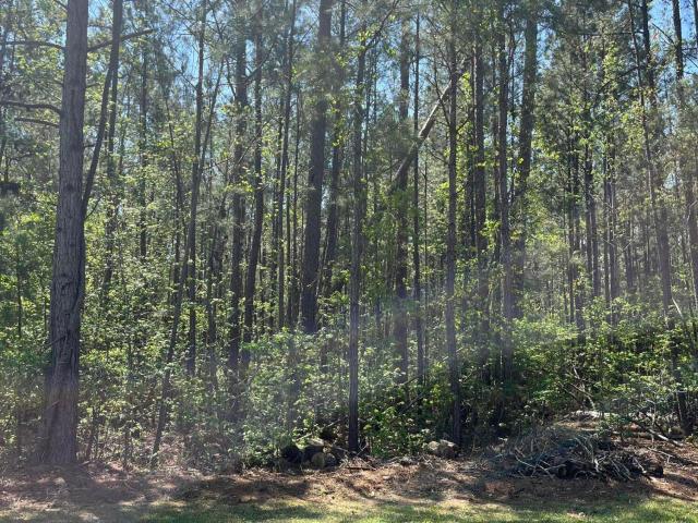 Land for sale in Savannah Lakes Village, McCormick County