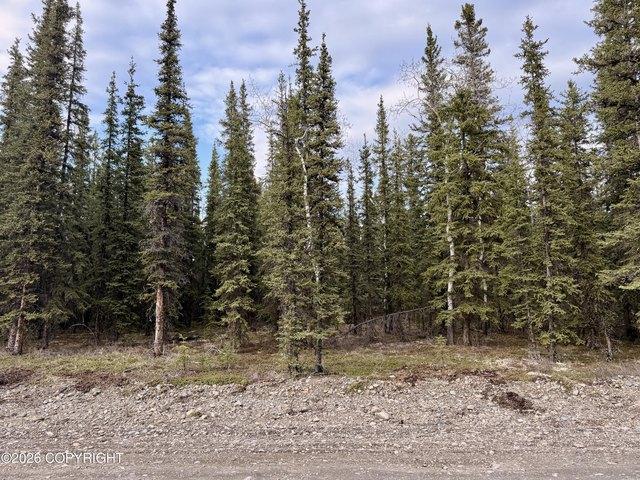 Land for sale in Tok
