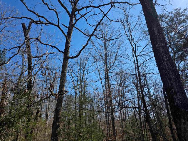 Land for sale in Ark