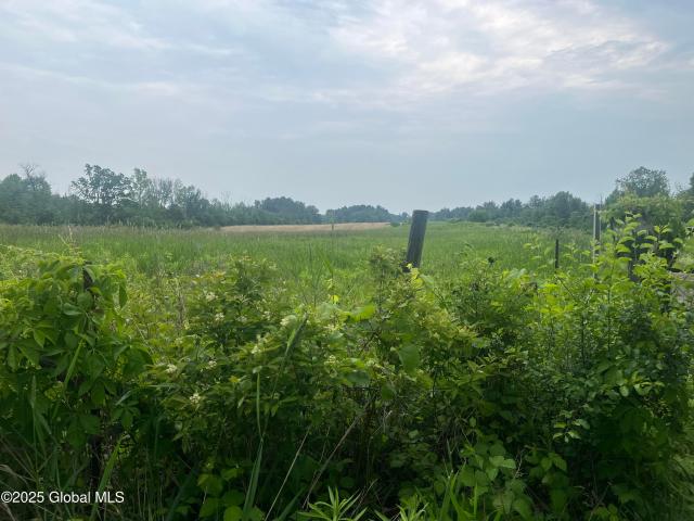 Land for sale in Schodack Landing, New York