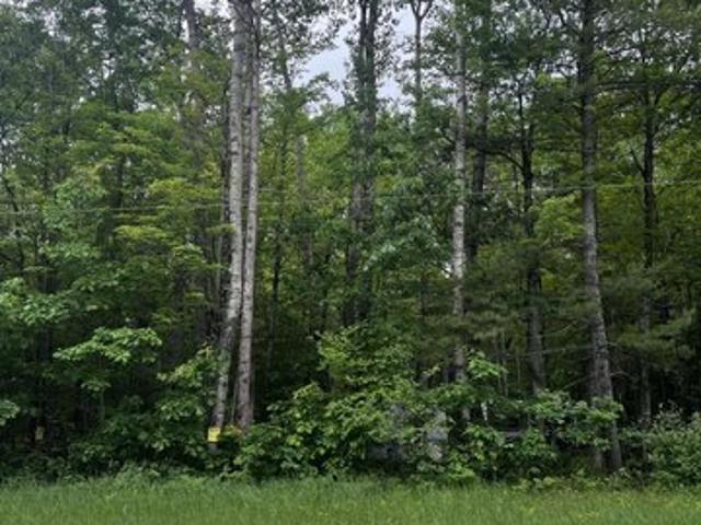Land for sale in Roscommon, Michigan