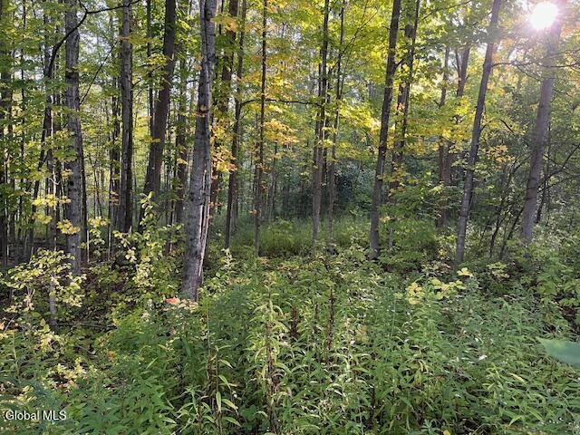 Land for sale in Town of Carlisle, Schoharie County