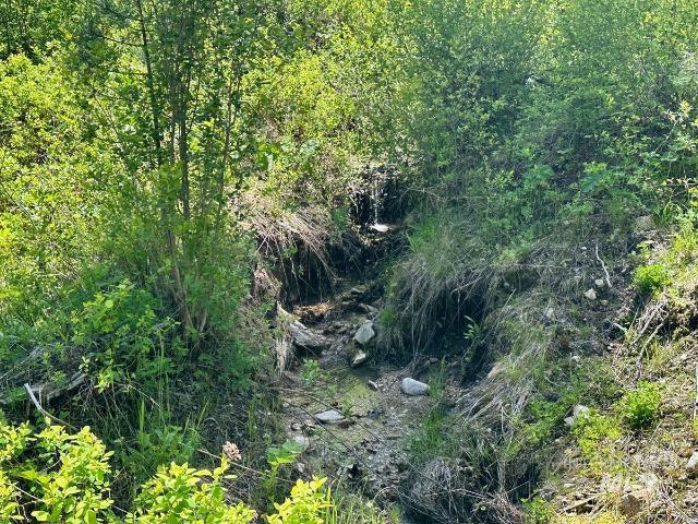 Land for sale in Idaho City, Idaho