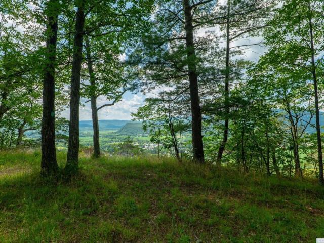 Property for sale in Middleburgh, New York