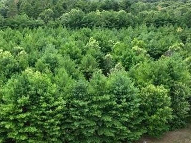 Land for sale in Redgranite, Wisconsin