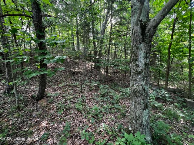 Land for sale in Clarkson, Kentucky