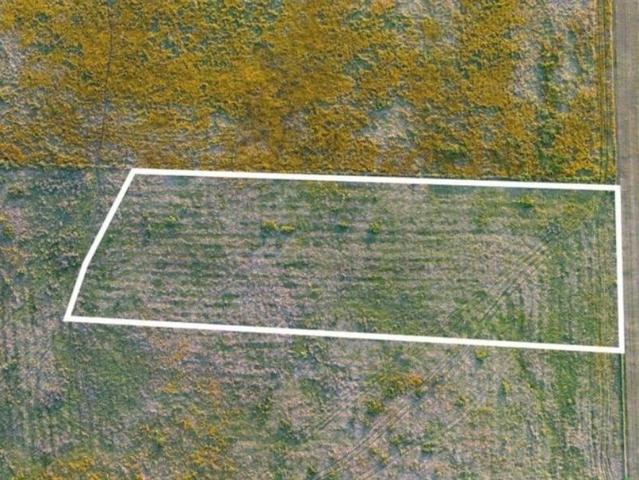 Land for sale in Elm Mott, Texas