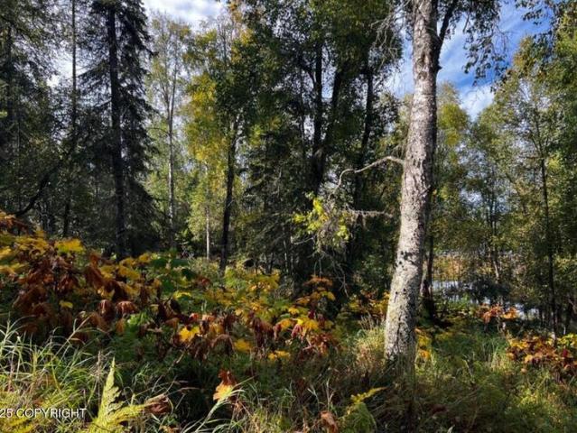 Land for sale in Kenai