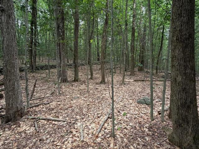 Land for sale in Stephentown, New York