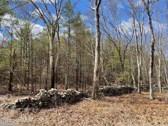 Land for sale in Hannacroix, New York