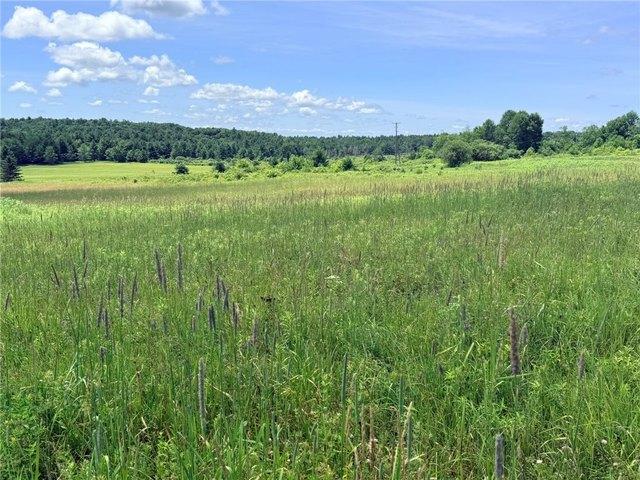 Farm for sale in Guilford, New York