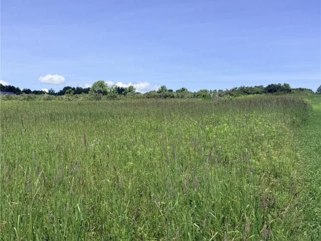 Land for sale in Guilford, New York