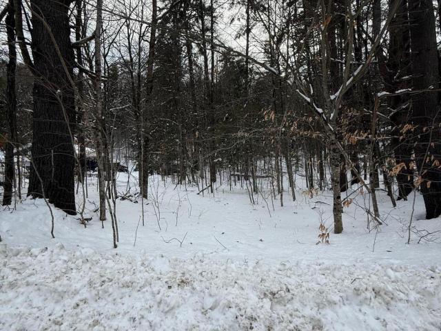 Land for sale in Athol, New York