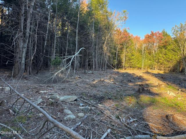 Land for sale in Sand Lake, New York