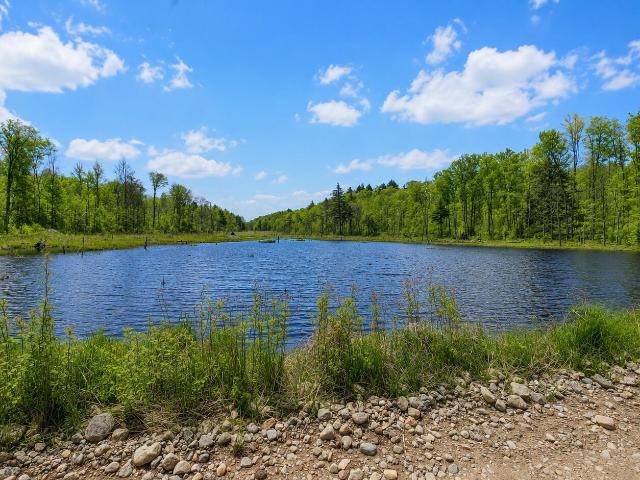 Land for sale in Colton, New York