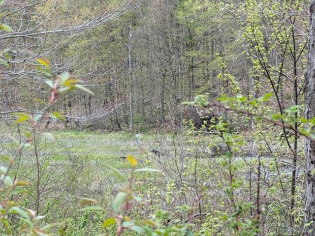 Land for sale in Colton, New York