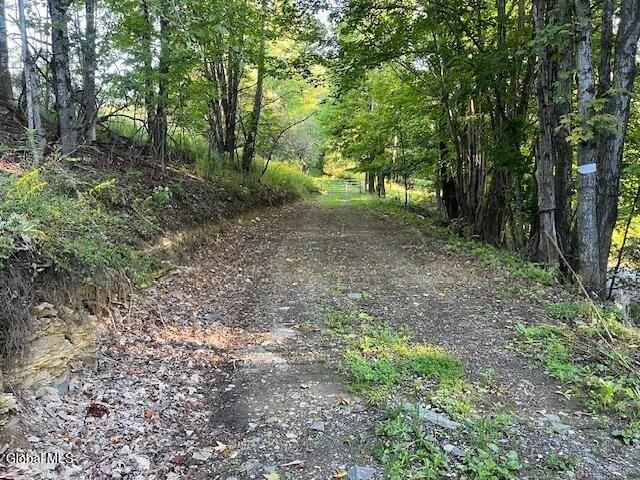 Land for sale in East Worcester, New York