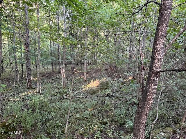 Land for sale in East Worcester, New York