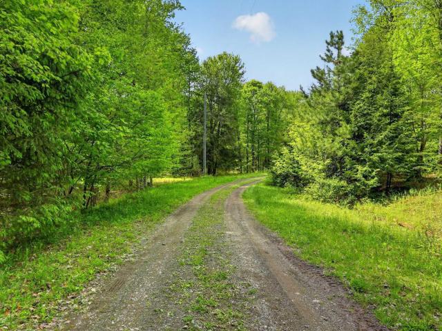 Land for sale in Jefferson, New York