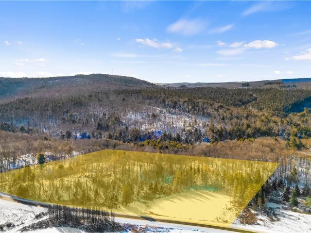 Land for sale in Plymouth, New York