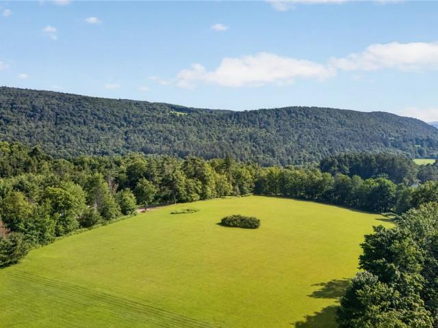 Land for sale in Davenport, New York