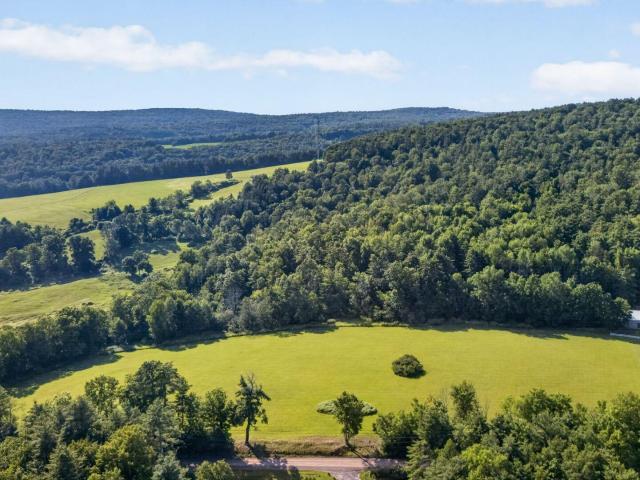 Land for sale in Davenport, New York