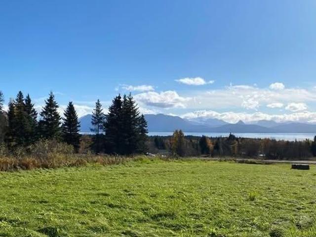 Land for sale in Homer