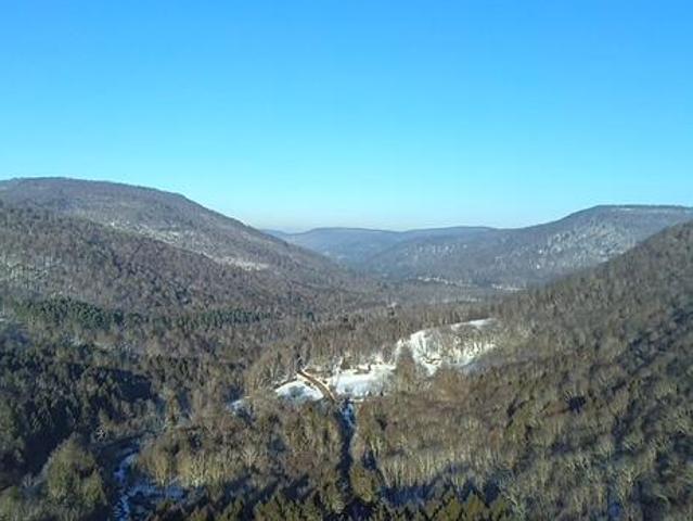 Land for sale in East Branch, New York