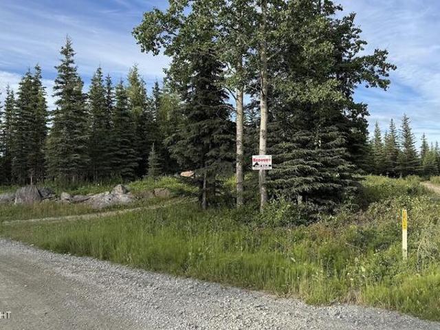 Land for sale in Soldotna