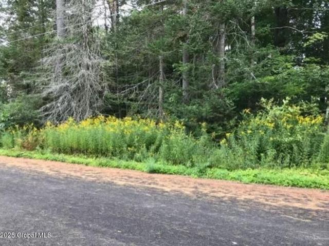Property for sale in Caroga Lake, New York