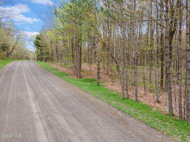 Land for sale in Pitcher, New York