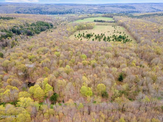 Land for sale in Pitcher, New York