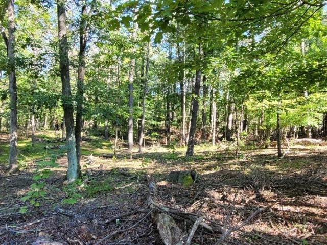 Land for sale in Coxsackie, New York