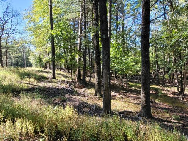 Land for sale in Coxsackie, New York